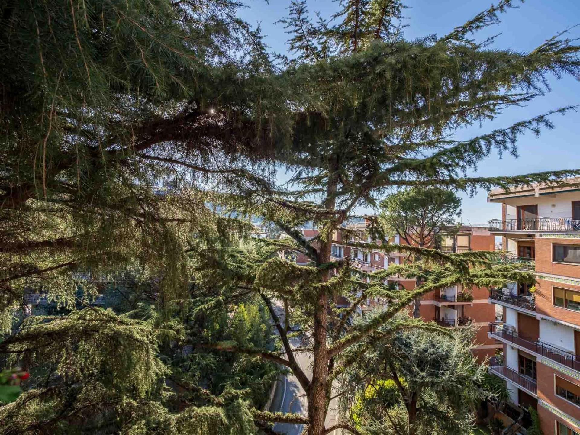 Pine House Sorrento Apartment Екстериор снимка